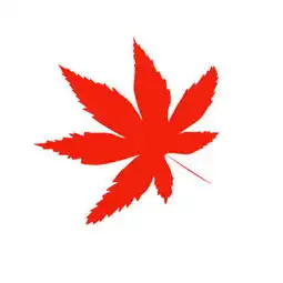  给我张枫叶形状图片