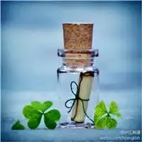四叶草微信头像唯美永恒