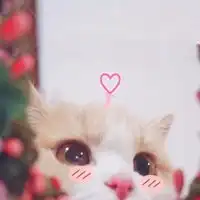  可爱又沙雕的头像动漫沙雕可爱头像