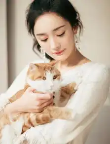  组图杨幂流苏白裙秀美腿怀抱猫咪眼神温柔