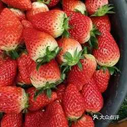  品果坊的奶油草莓好不好吃用户评价口味怎么样上海美食奶油草莓实拍图片大众点评