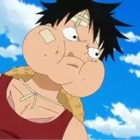  小木偶灬