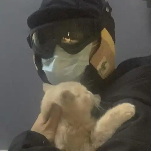  头像一语戳中人心的丧文案