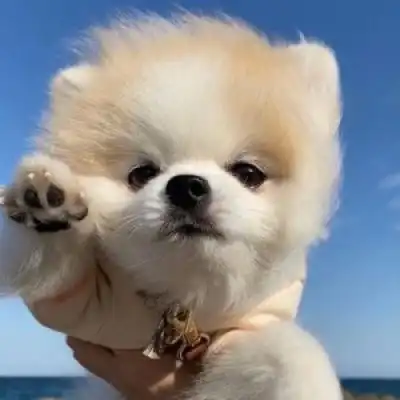  祝你我在声色犬马的世界里保持清澈