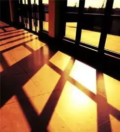 青春阳光微信头像景色