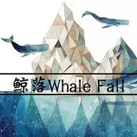  鲸落调频主播电台网易云音乐