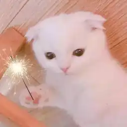  你们欧气值怎么来的
