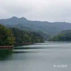  电话,地址,价格,营业时间赤水市生活服务