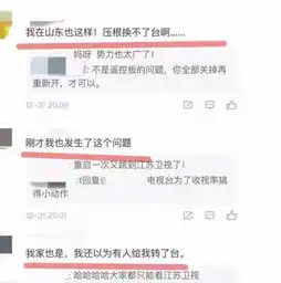  别家卫视元旦晚会正播出时被江苏卫视强制跳台网友一脸懵