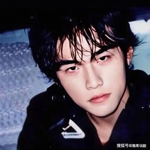 尊龙年轻图片高清头像迈