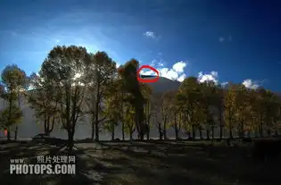 微信头像阳光景色通道