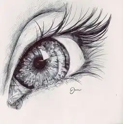  求简笔素描vip,函数看向这里