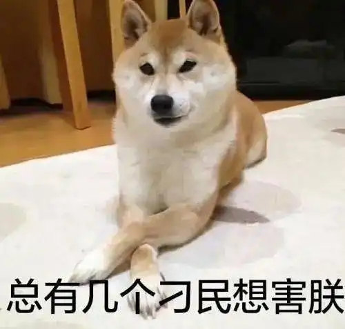 这是你看到的大胃王吗