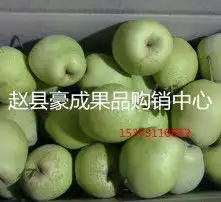  黄页88高清图片