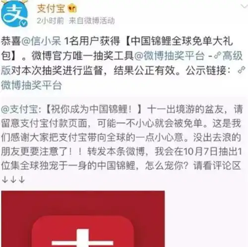  2018年末盘点今年我们造了两个神