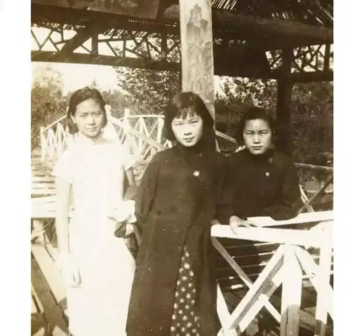 尊龙年轻图片高清头像婉