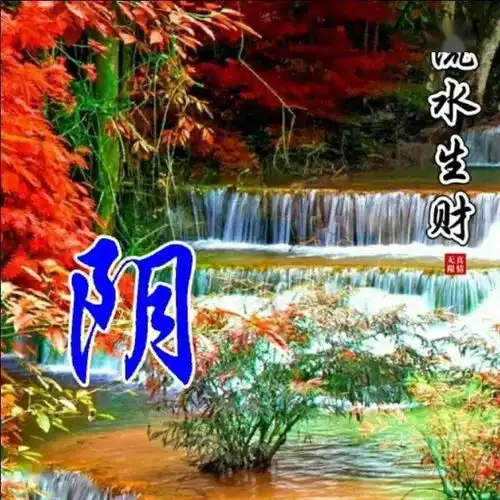  中老年头像大全110张流水生财姓氏头像,竹林深处有人家,几多幽静几多愁,竹林深处姓氏微信头像