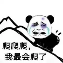  熊猫头气人表情怼图不要对我心存幻想,你配不上我的