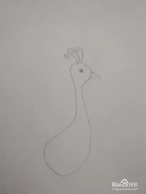  多妈简笔画动物一只漂亮的孔雀