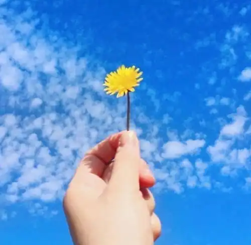  早上发圈的短句子,温暖阳光,精致窝心,值得转发