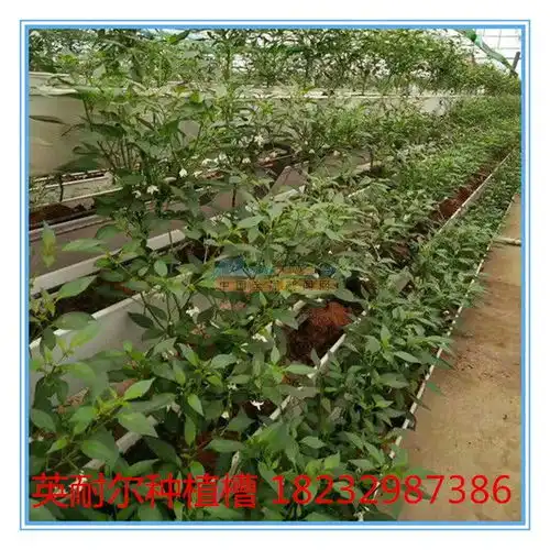  英耐尔大棚草莓种植槽a字架无土栽培槽番茄辣椒种植槽