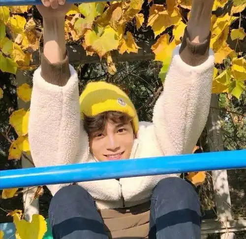  头像迟到的向日葵也会开花
