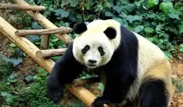  云南男人三八节正确的打开方式