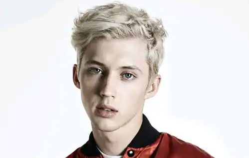  nme杂志评troyesivan专辑bloom