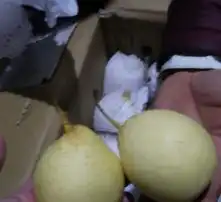  黄页88高清图片