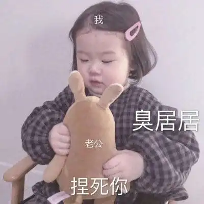呆萌头像大全可爱圣宝