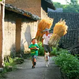  浙江原来藏着那么多石头筑成的古村,小众冷门还野趣十足