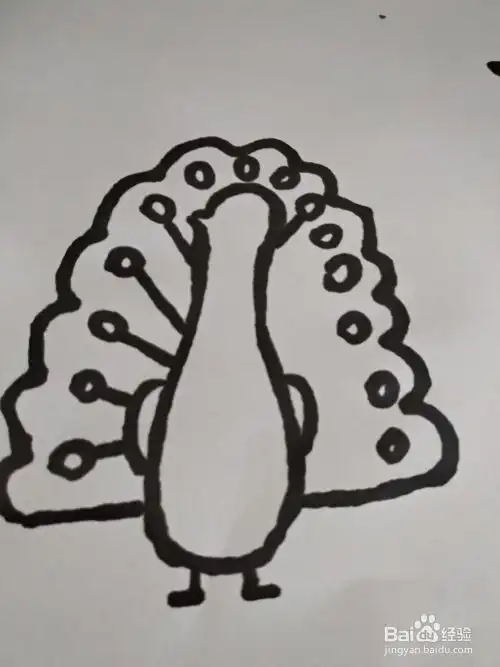 动物头像简笔画孔雀白化