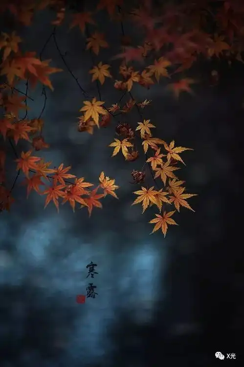  凭栏悄悄,目送秋光