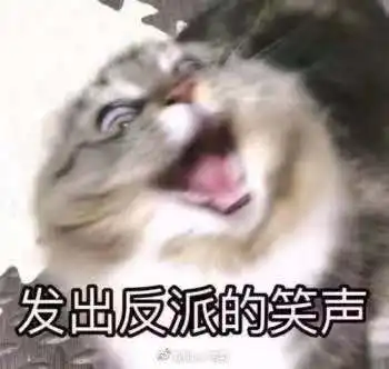  为什么唐僧最喜欢的不是本事最大的孙悟空,反而是猪八戒