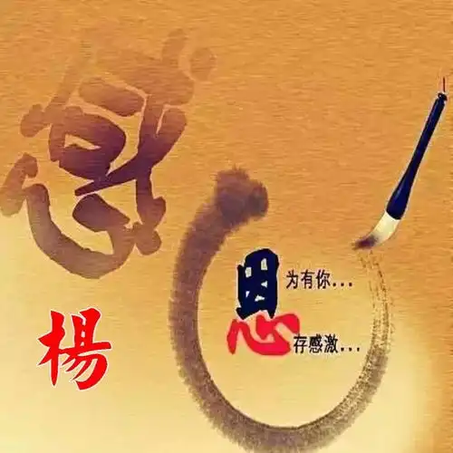 善行善缘的微信头像