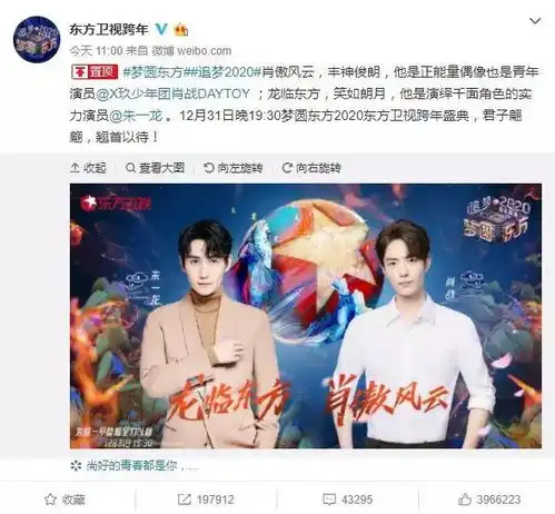  各大卫视跨年演唱会嘉宾一览,肖战王一博朱一龙tfboys你选择看谁