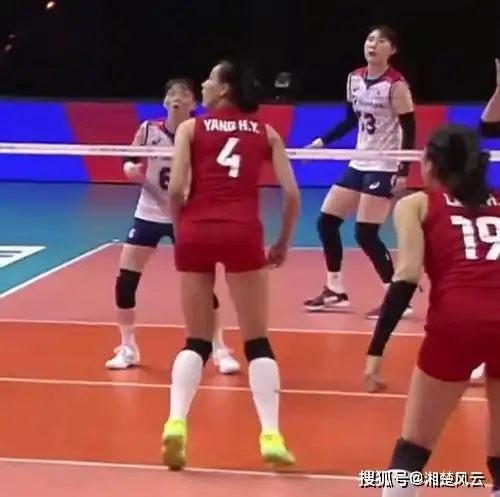  中国女排对阵多米尼加,郎导可能继续派全主力,央视体育直播比赛
