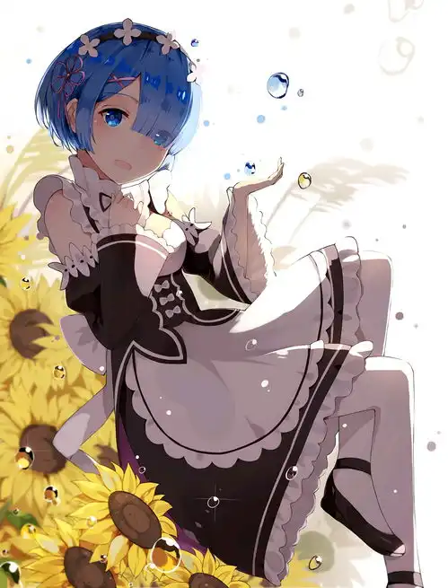  re.0蕾姆p站精选2