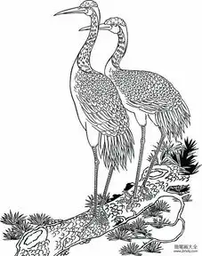  最好看的丹顶鹤简笔画图片