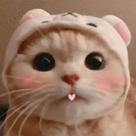  我和猫只能要一个评论泪目...