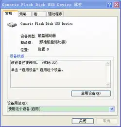  你好我的u盘出现这种问题在格式化过程中出错求解释能恢复吗图片如下