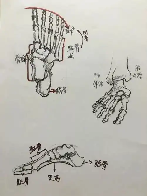  速写人物头手脚躯干表情示范干货