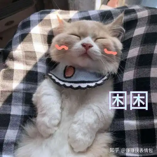  搞笑表情包图片经典必备,笑死我了,哈哈哈哈