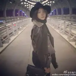  王珞丹晒美照站桥上心情似不好
