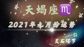  灵石塔罗射手座上半年运势,受到现实的阻碍,落差比较大
