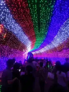  3000万盏灯将点亮东莞横沥体育公园跨年梦幻灯光狂欢节,1900张门票免费送