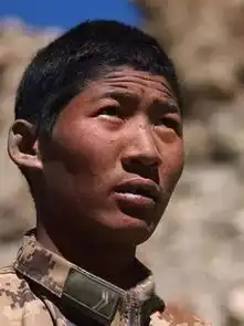  这就是军人的色彩每一种都让人热泪盈眶