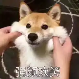  白色情人节沪上颜值zui高表哥来支招钟表管家推荐