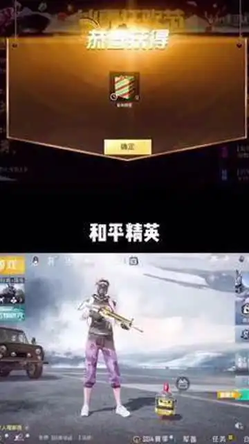  评论出来啦安然和平精英刺激战场这是一个悲伤的故事