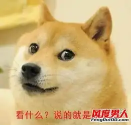  娱乐圈犬系长相男明星受欢迎,林更新最逗刘昊然最萌